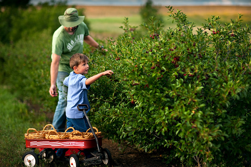 Canadian Tastemakers: Over The Hill Orchard and Winery
