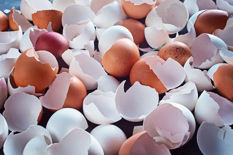 cracked empty egg shells