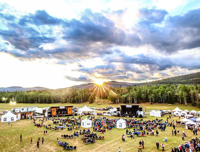 Wild Mountain Festival