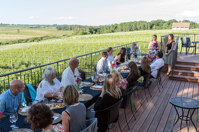 Pop Up Wild Feast Dinner