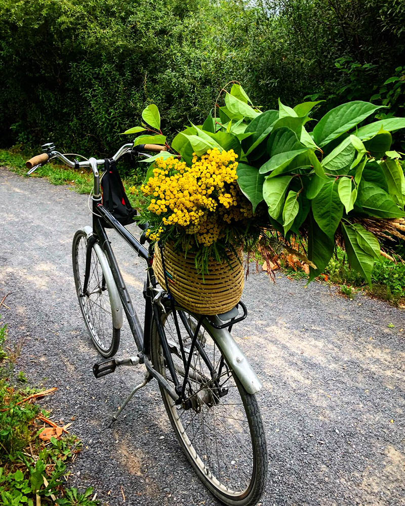 Wild Feast Nova Scotia