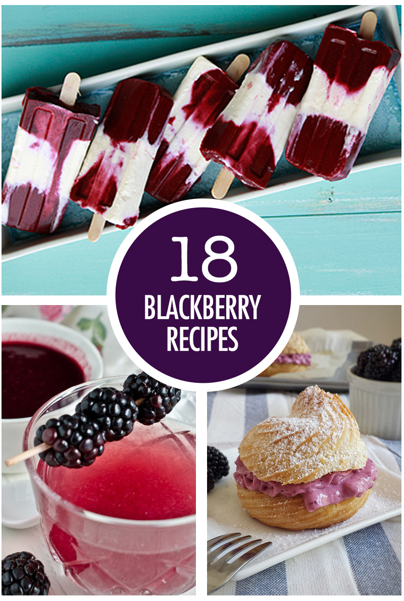18 Juicy Blackberry Recipes | Food Bloggers of Canada