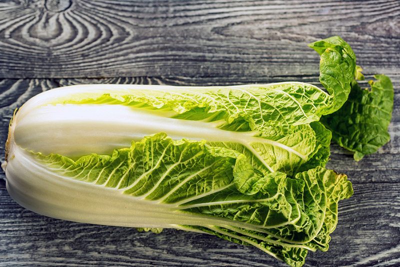 How To Grow Napa or Chinese Cabbage | Food Bloggers of Canada