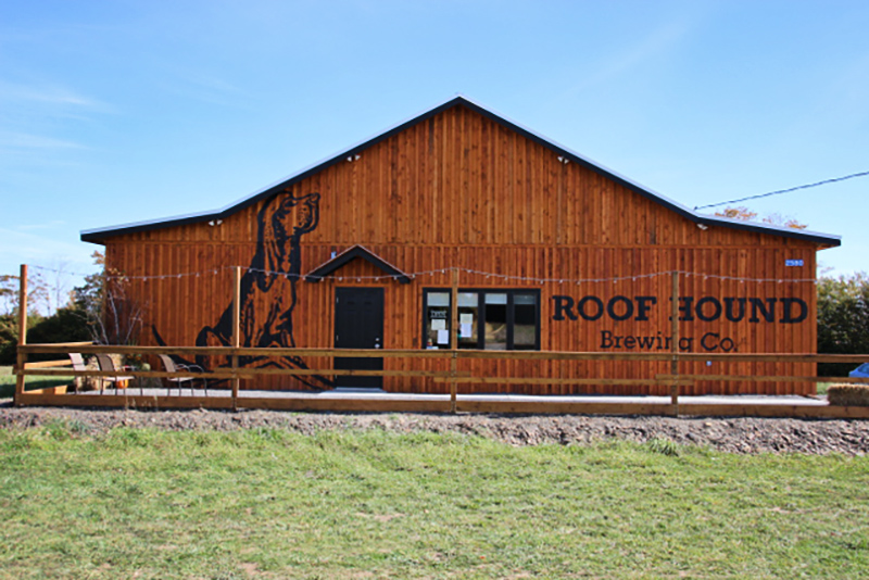 Annapolis Craft Beer Tour