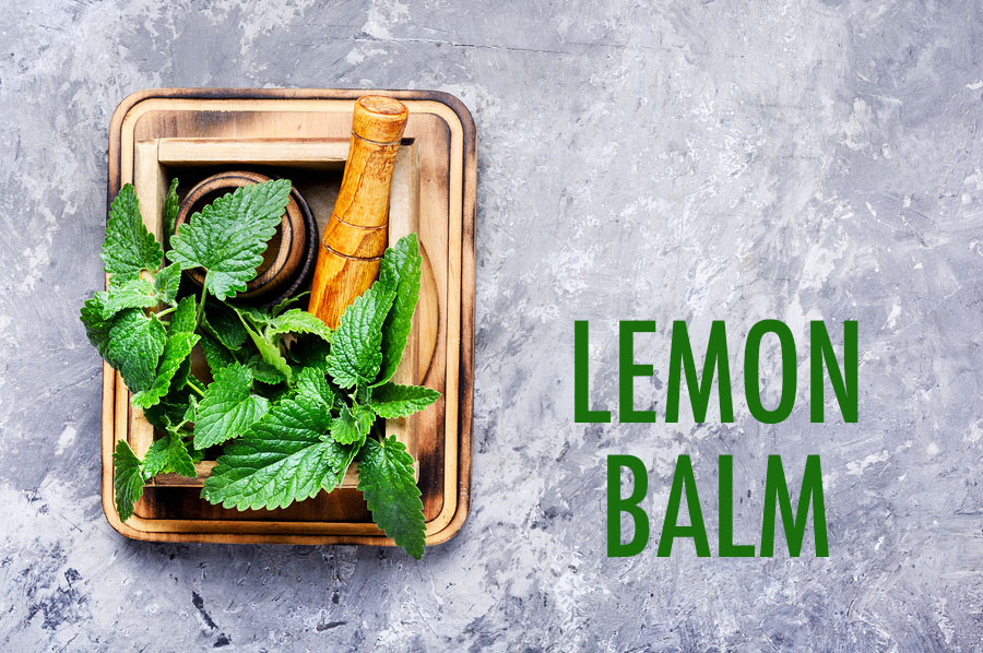 10 Herbs For the Canadian Garden | Food Bloggers of Canada