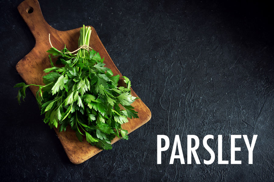 10 Herbs For the Canadian Garden | Food Bloggers of Canada