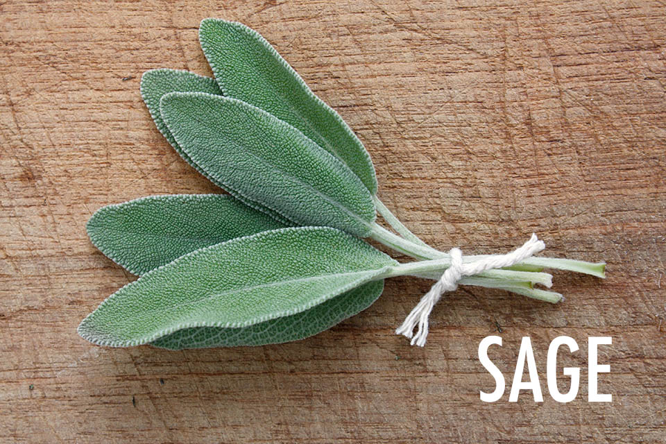 10 Herbs For the Canadian Garden | Food Bloggers of Canada