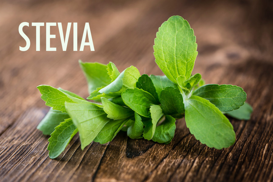 10 Herbs For the Canadian Garden | Food Bloggers of Canada