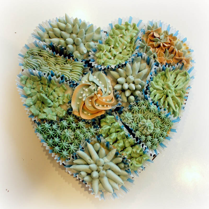 Pull Apart Succulent Cake by Pretty Petunias