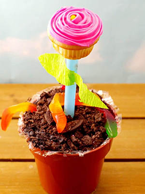 Cupcake Flower Pots | Food Meanderings