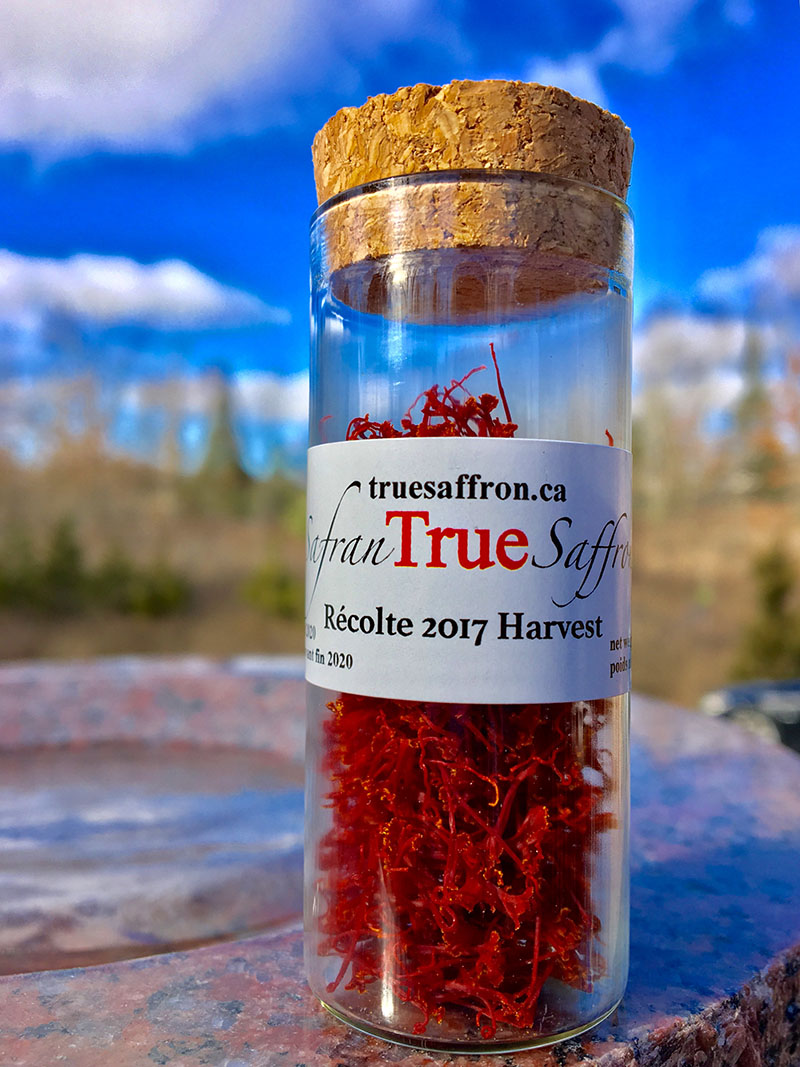 Canadian Tastemakers: True Saffron | Food Bloggers of Canada