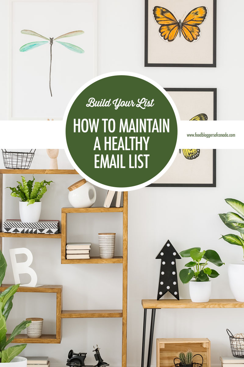 How To Maintain A Healthy Email List | Food Bloggers of Canada