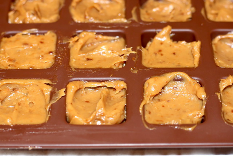 Pan Roasted Garlic Puree Pucks | Urb n Spice