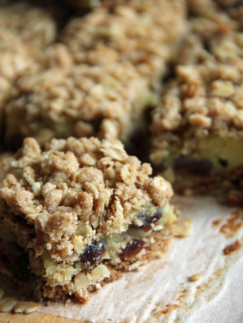 Sour Cream Raisin Bars | Jo and Sue