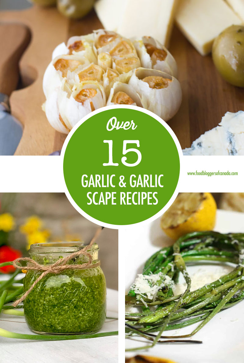 Over 15 Garlic and Garlic Scape Recipes | Food Bloggers of Canada