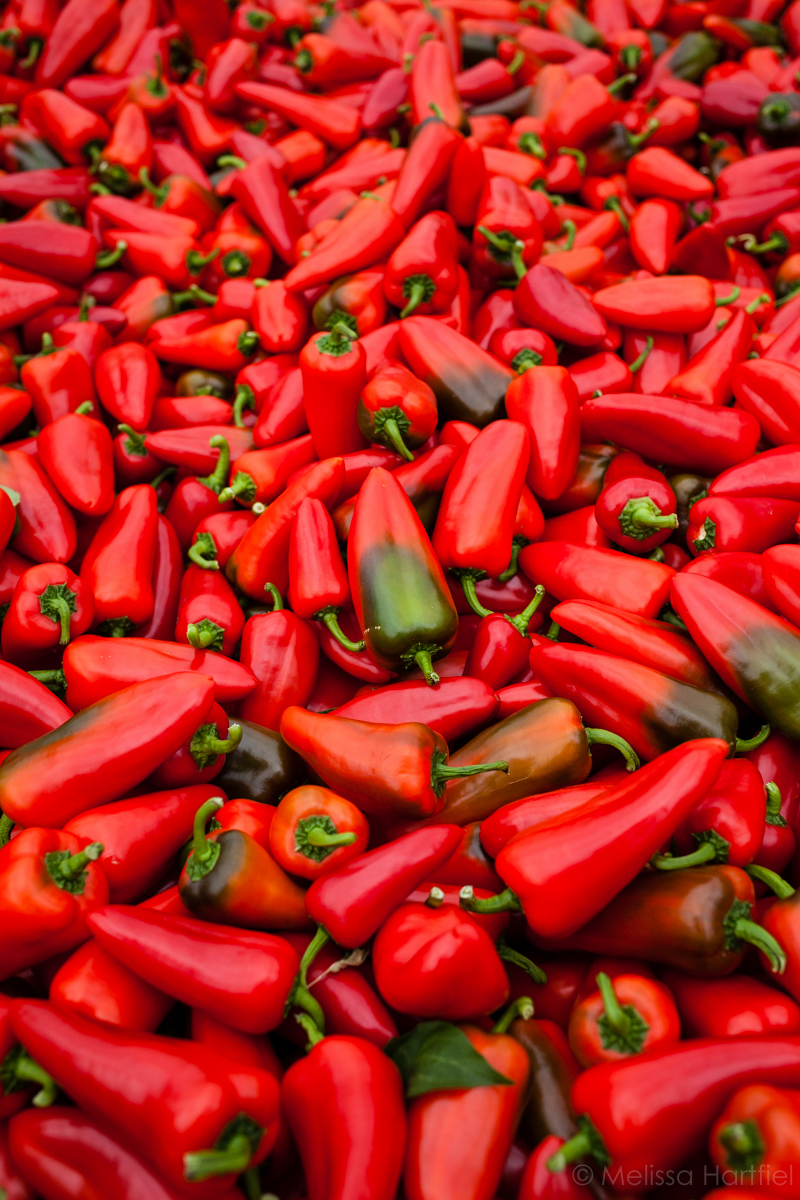 Greenhouse Sweet Peppers