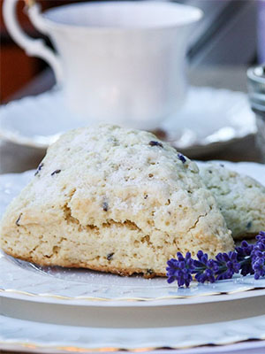 Lavender Scones | The Food Blog