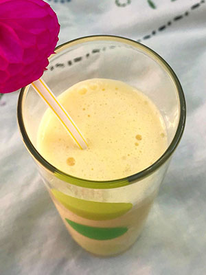 Homemade Orange Julius | Pretty Petunias