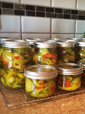 Yum Yums | Nutmeg Disrupted