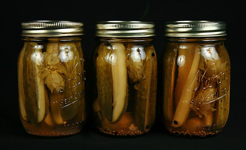 Hoppy IPA Pickles | Celebration Generation