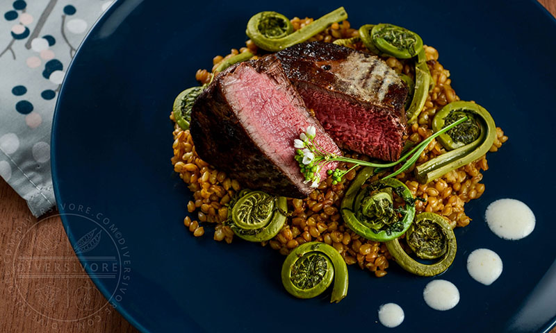 Beef Tenderloin with Einkorn and Fiddleheads | Diversivore