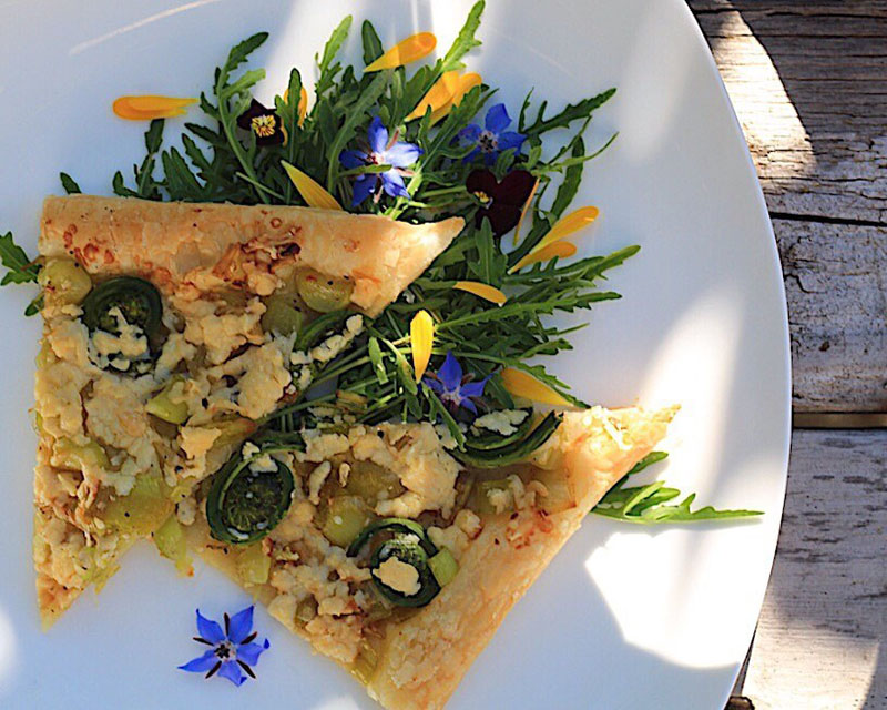 Fiddlehead and Cheddar Tart | West Coast Kitchen Garden