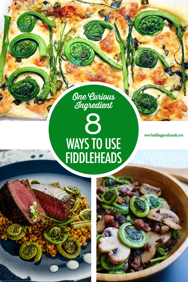 8 Fiddlehead Recipes | Food Bloggers of Canada