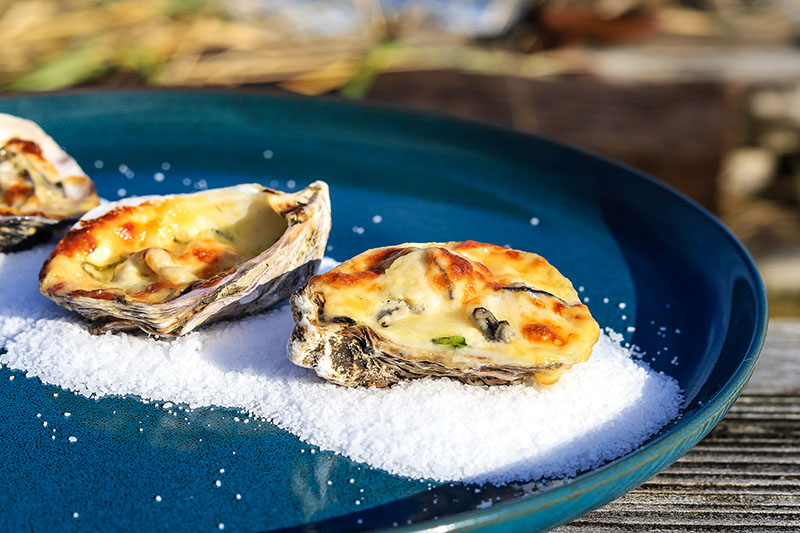 Miso baked oysters on a blue plate