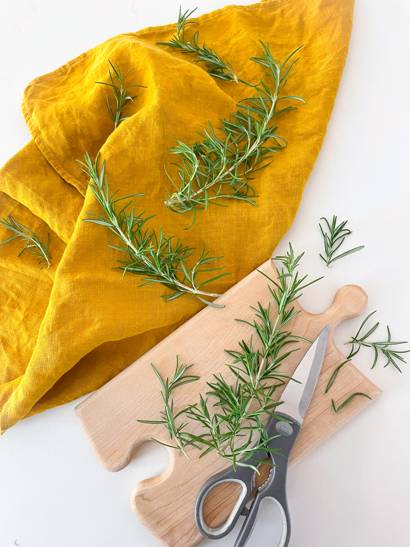 Fresh rosemary twigs