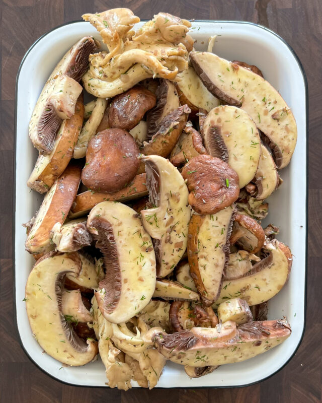 Mushrroms on a plate