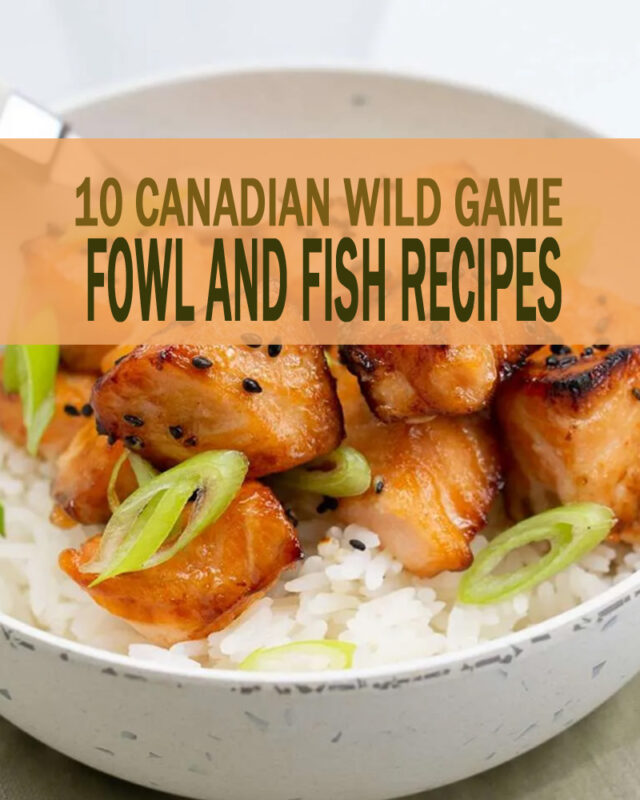 Fish with rice in a bowl