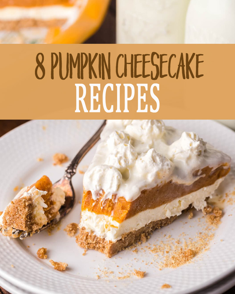 a piece of pumpkin cheesecake on a plate