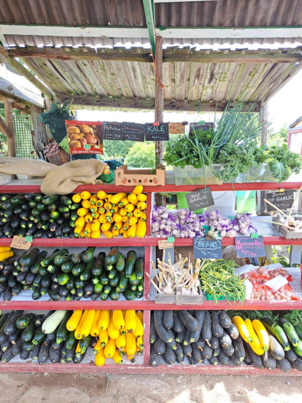 Farmer's market with zucchini stand.