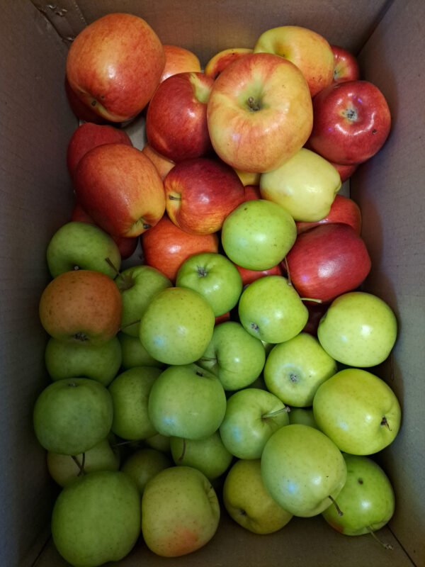 Red and green apples.