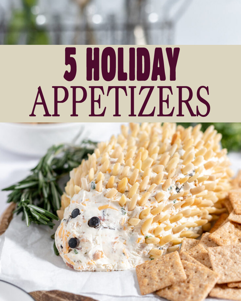 Adorable hedgehog cheeseball perfect for the fall holidays.